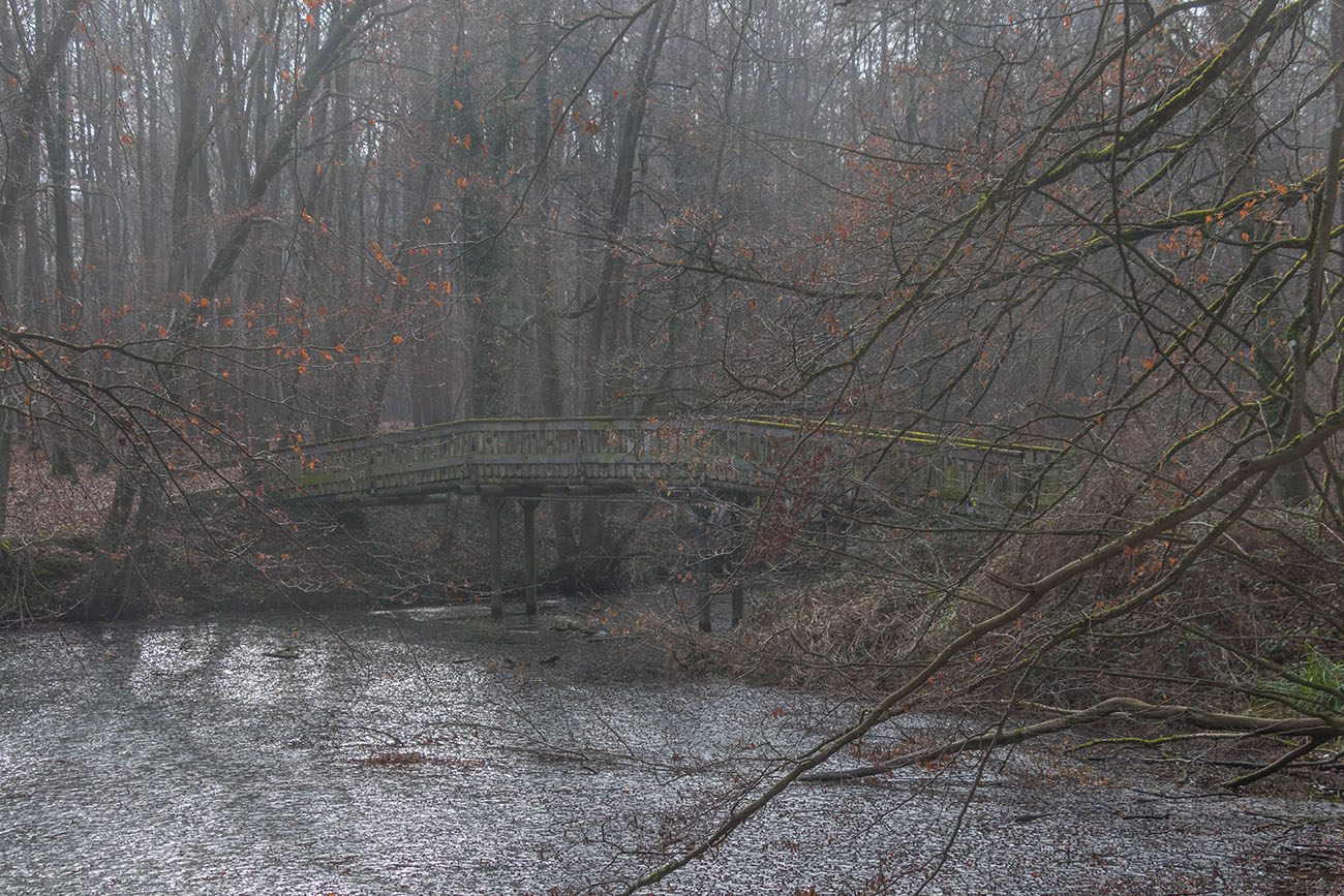 ... führen zu verwunschenen Gewässern 