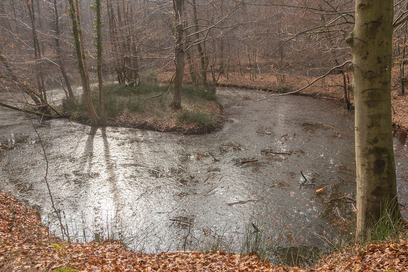 Einige Teiche sind noch zugefroren ... 