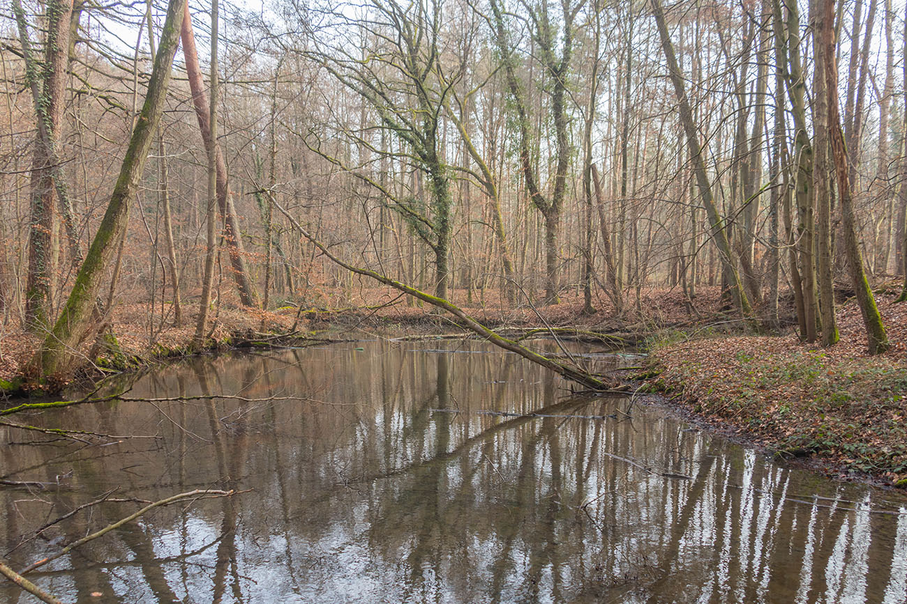 ... andere sind schon aufgetaut 