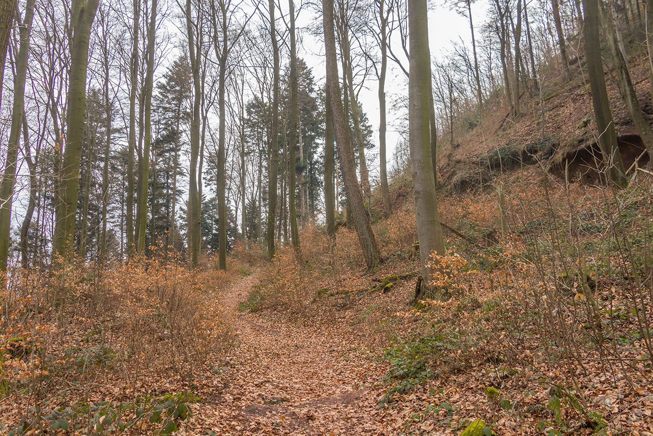 Pfad auf den Schlossberg 