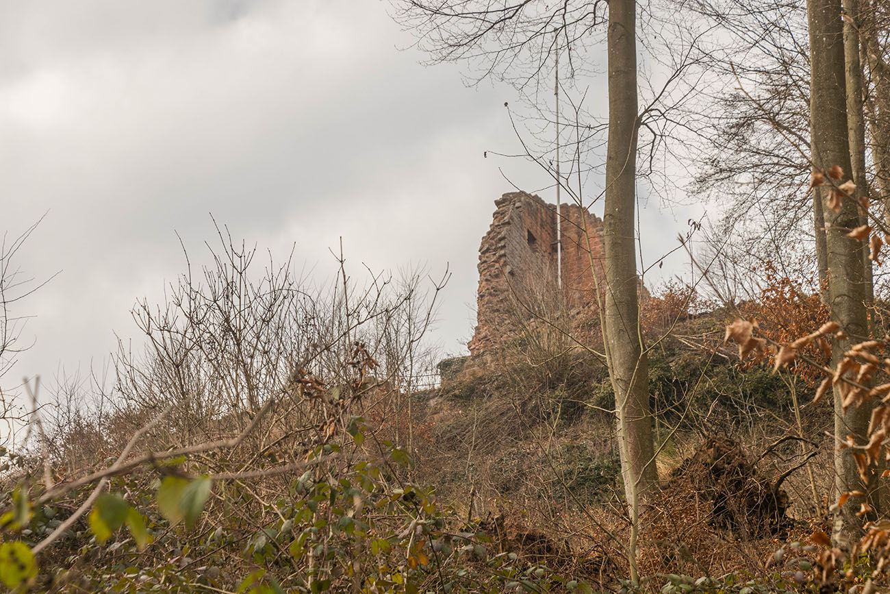 Die Ruine Guttenberg 