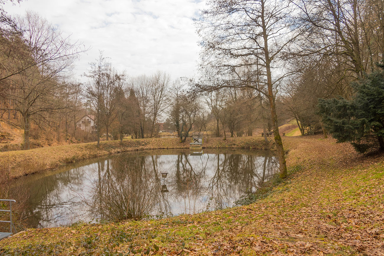 Teiche bei Rechtenbach 
