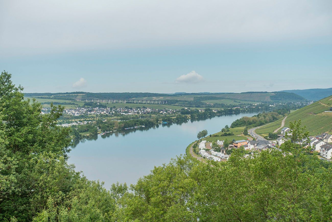 Blick auf die Mosel 