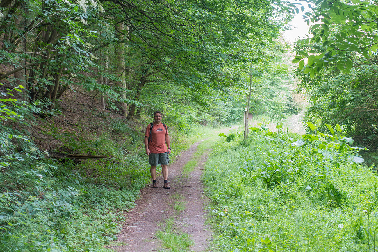 Wohlan, tapferer Wandersmann ... 