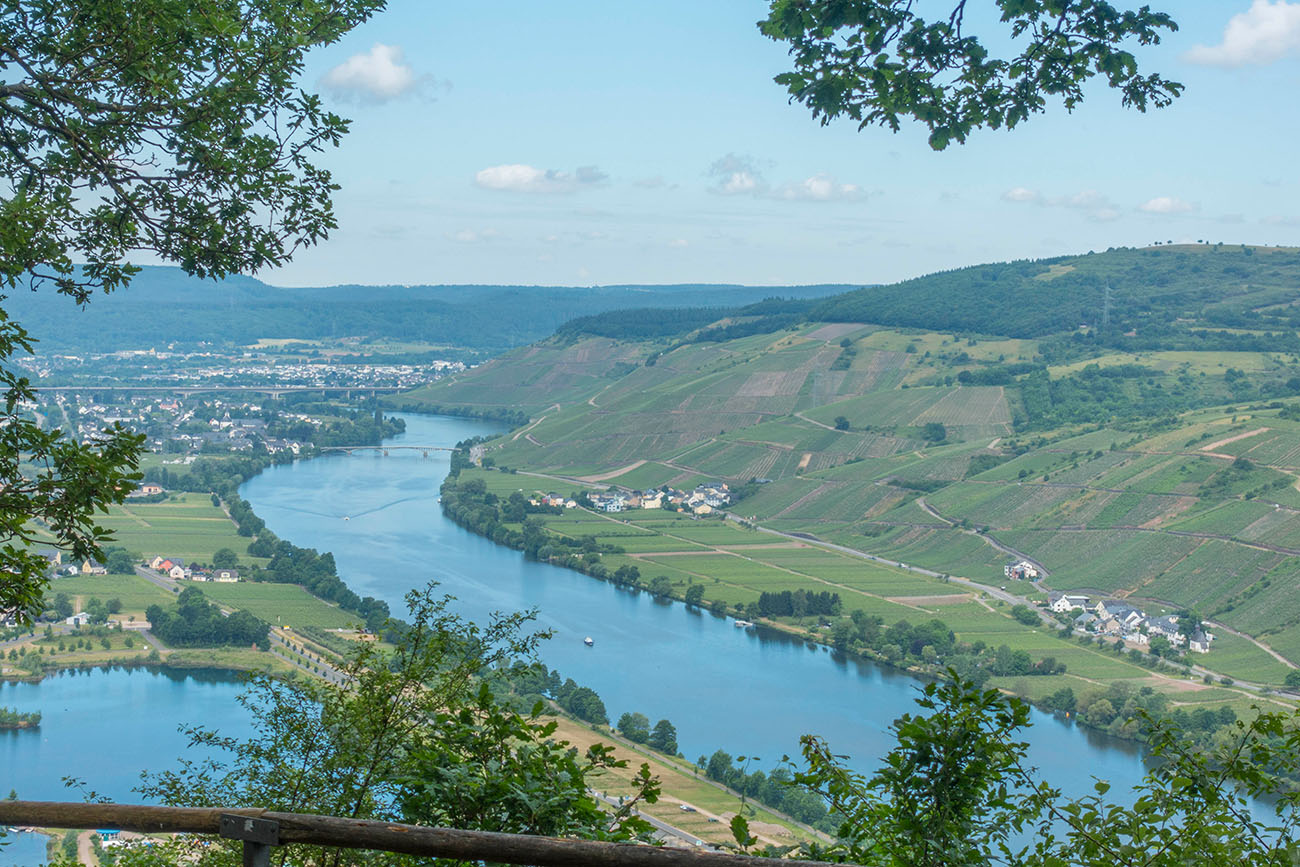 Blick vom Gipfel auf die Mosel 