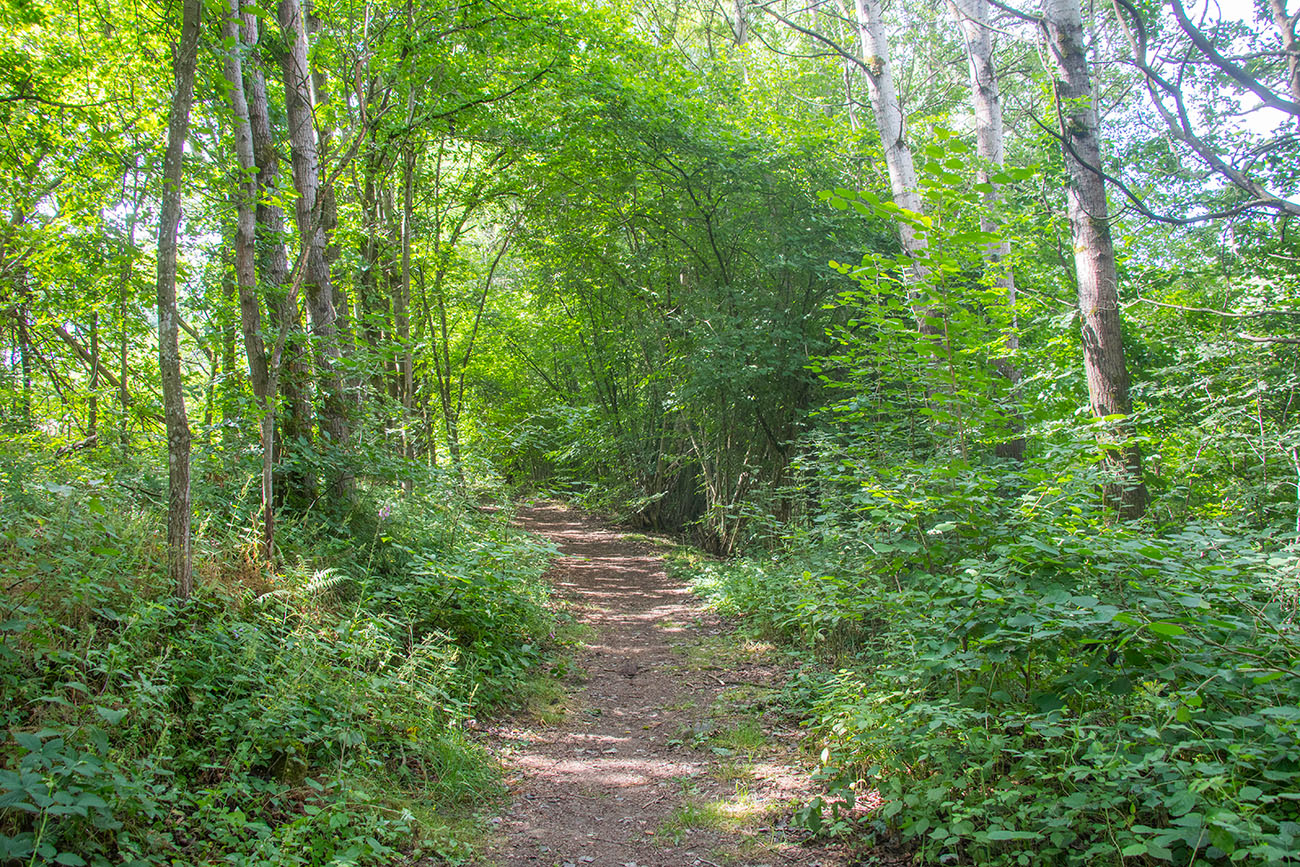 Auf dem Wanderweg