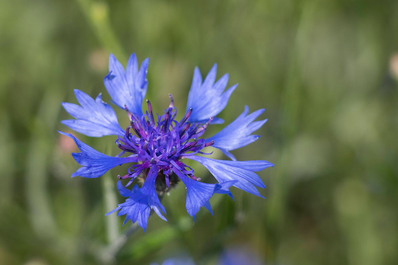 Tolles Blau 