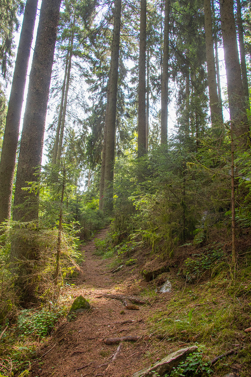 Aber hier müssen wir hoch 