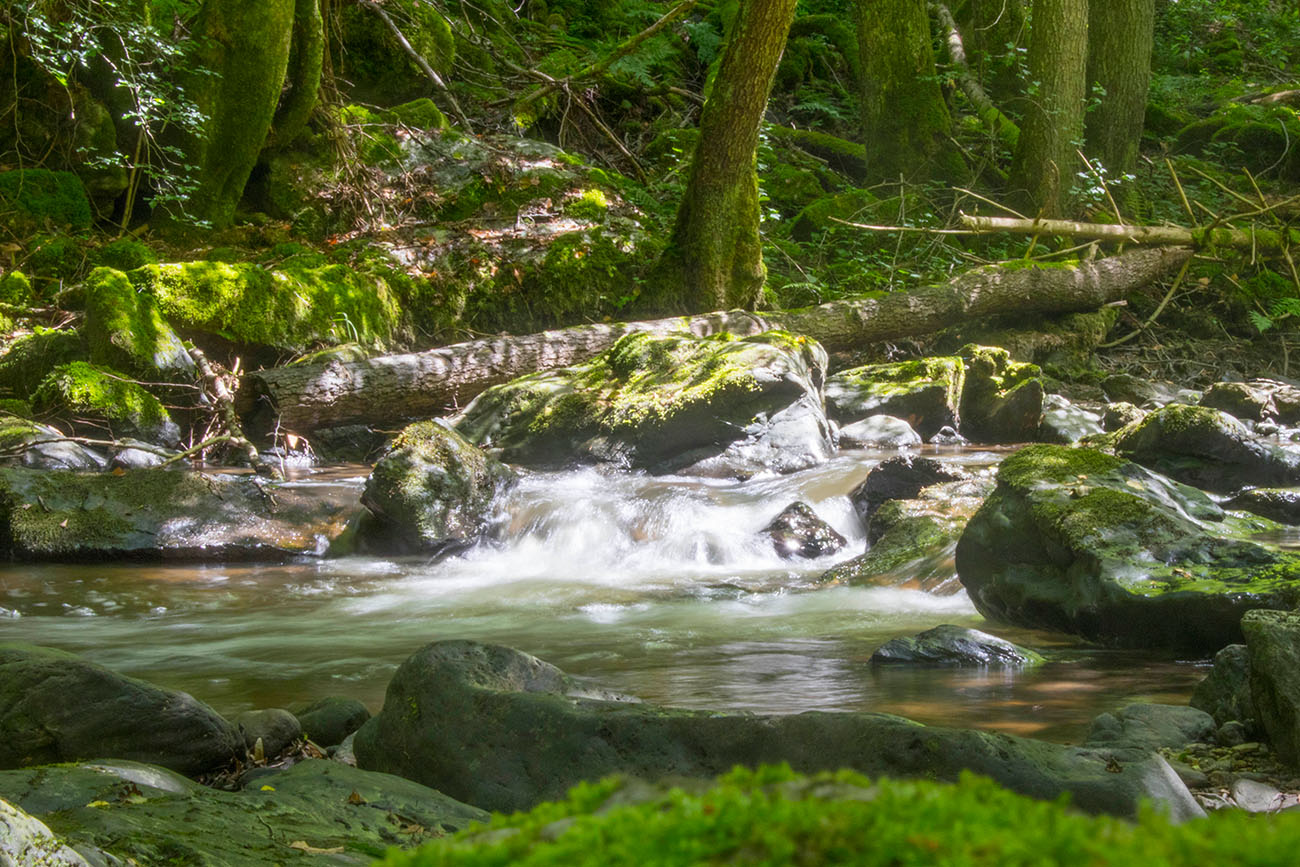 Fließendes Wasser ist einfach schön anzusehen 