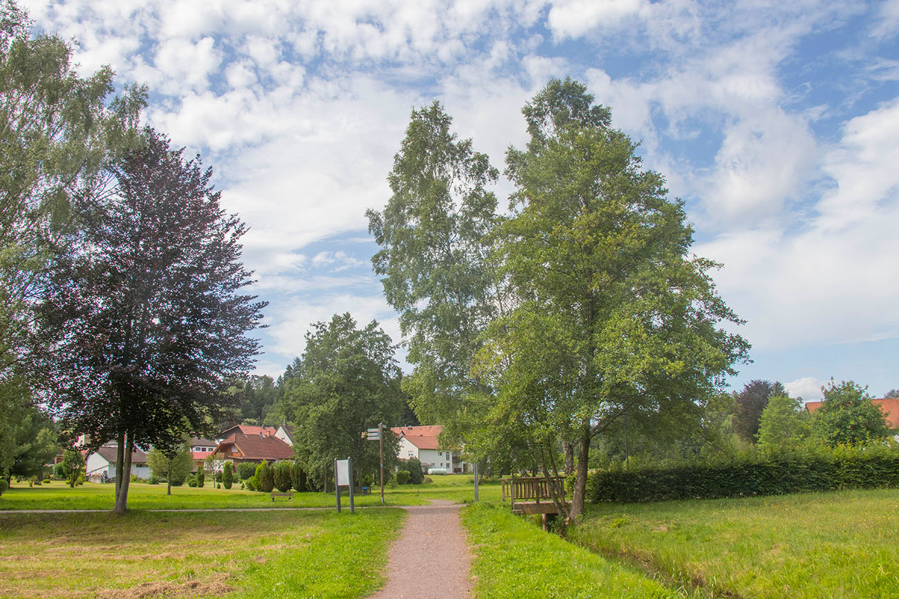 Abzweig zum Barfußpfad