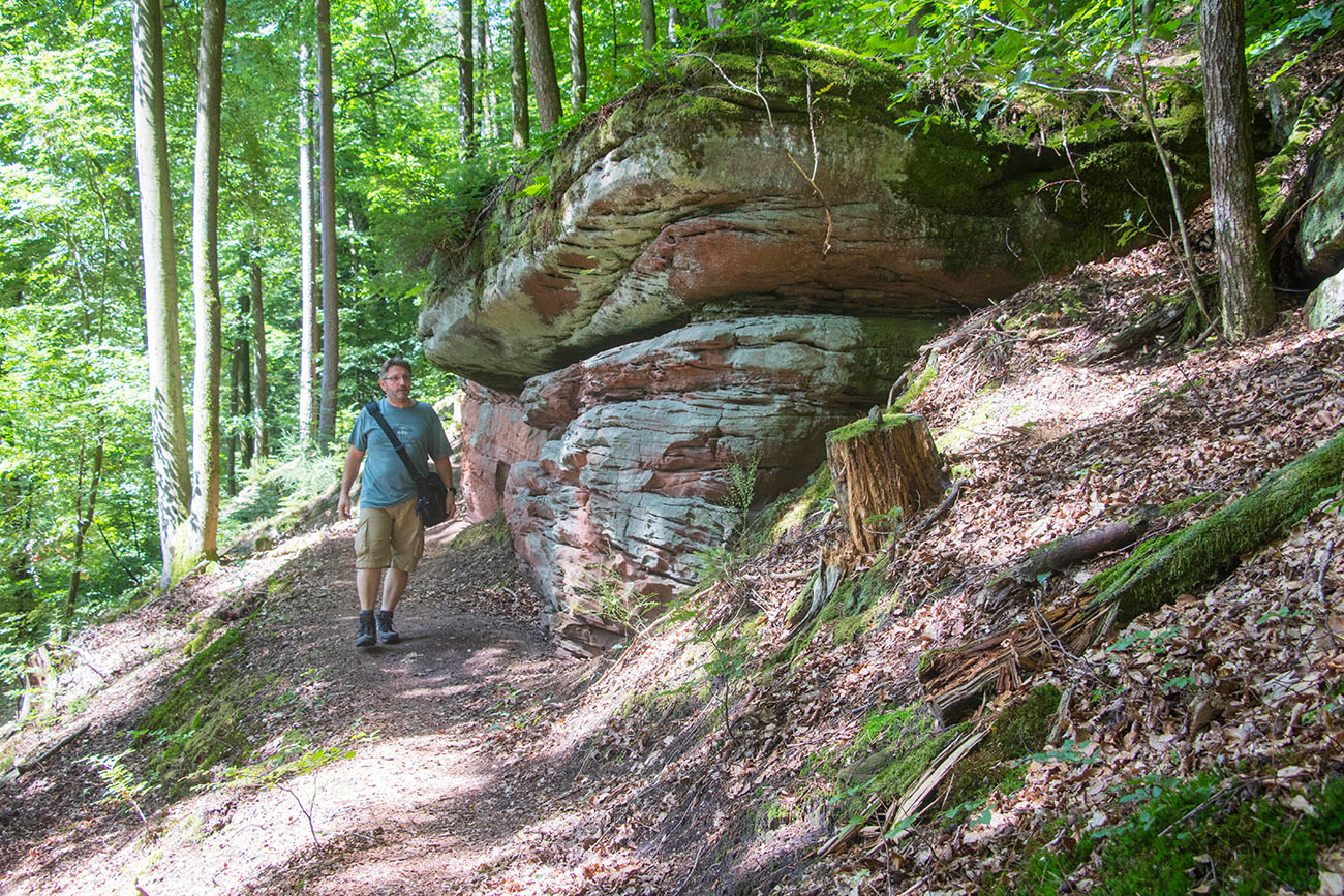 Immer wieder kommen wir an den typischen Sandsteinfelsen vorbei 