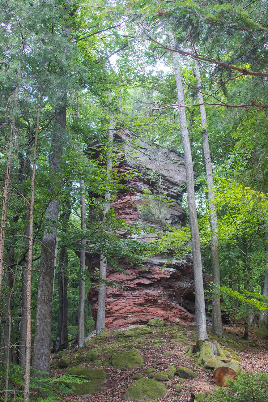 Interessant sind sie trotzdem ... 