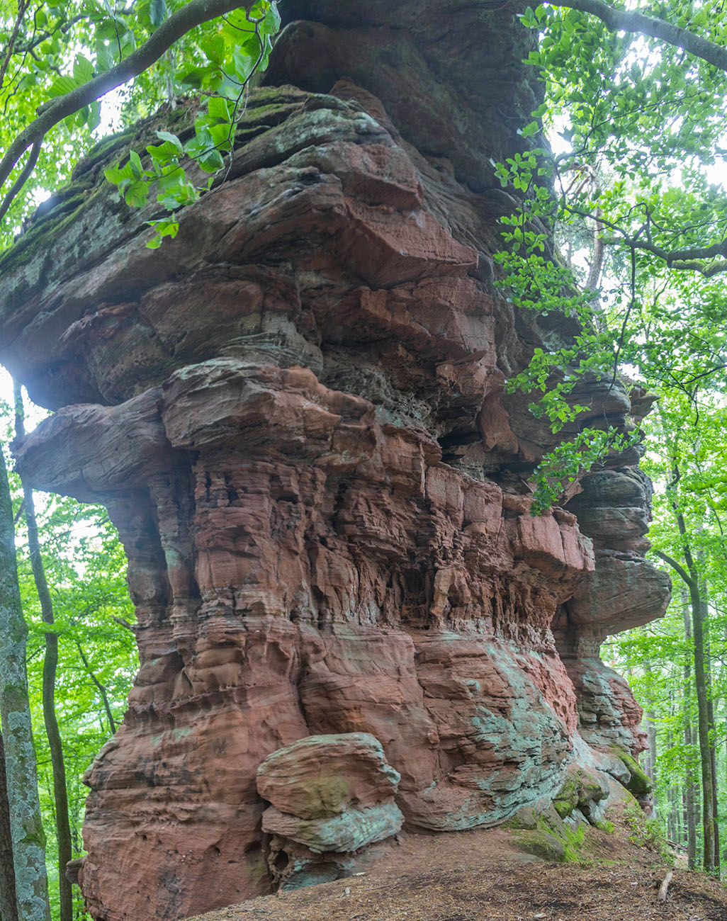 ... und ziemlich hoch 