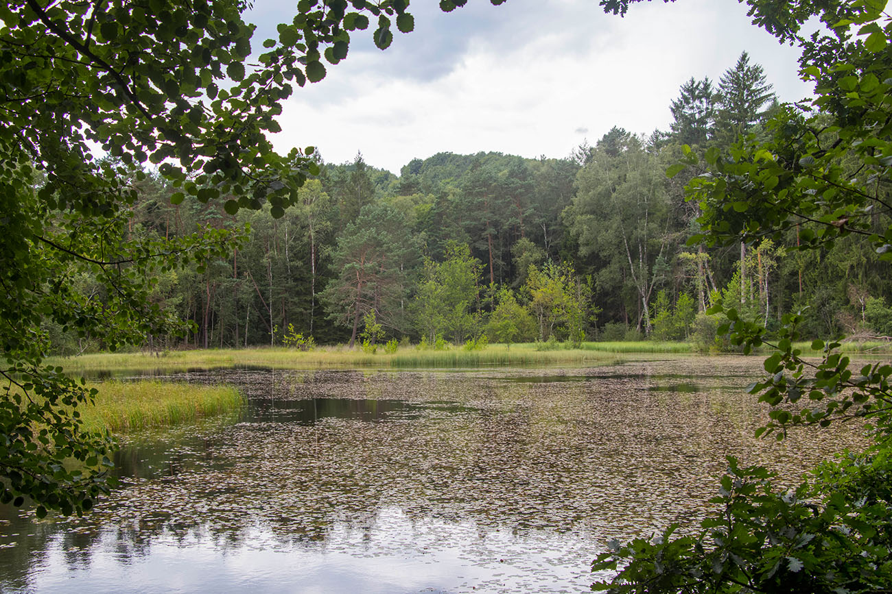 ... der Himmel zieht sich zu ... 