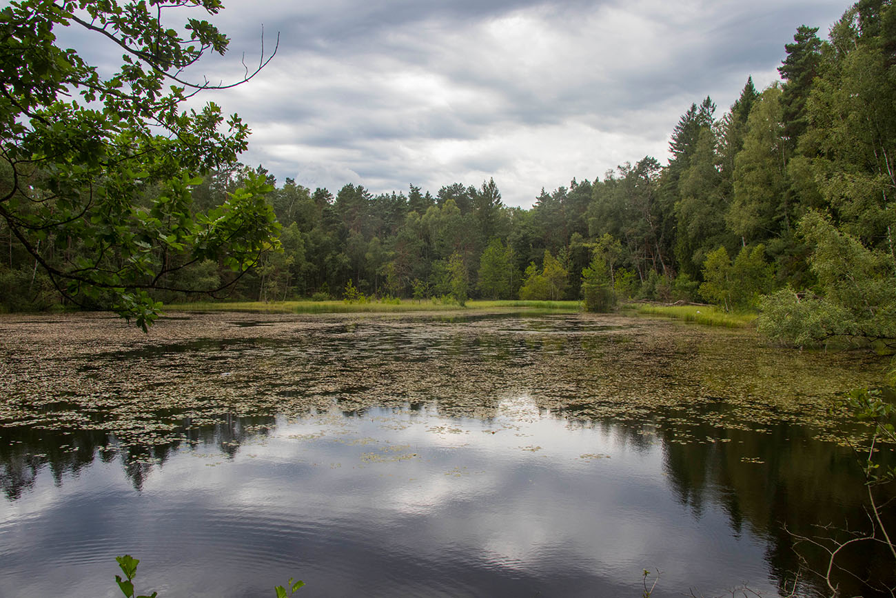 ... und dumpfes Grollen kündigt ein Gewitter an 