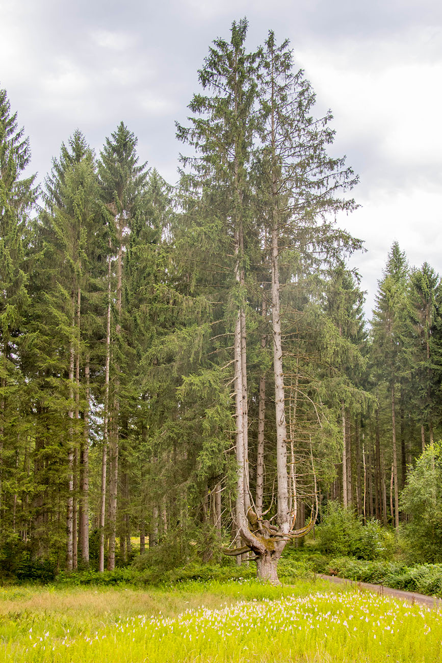 Den letzten Kilometer müssen wir rennen, um nicht völlig durchnässt zu werden 