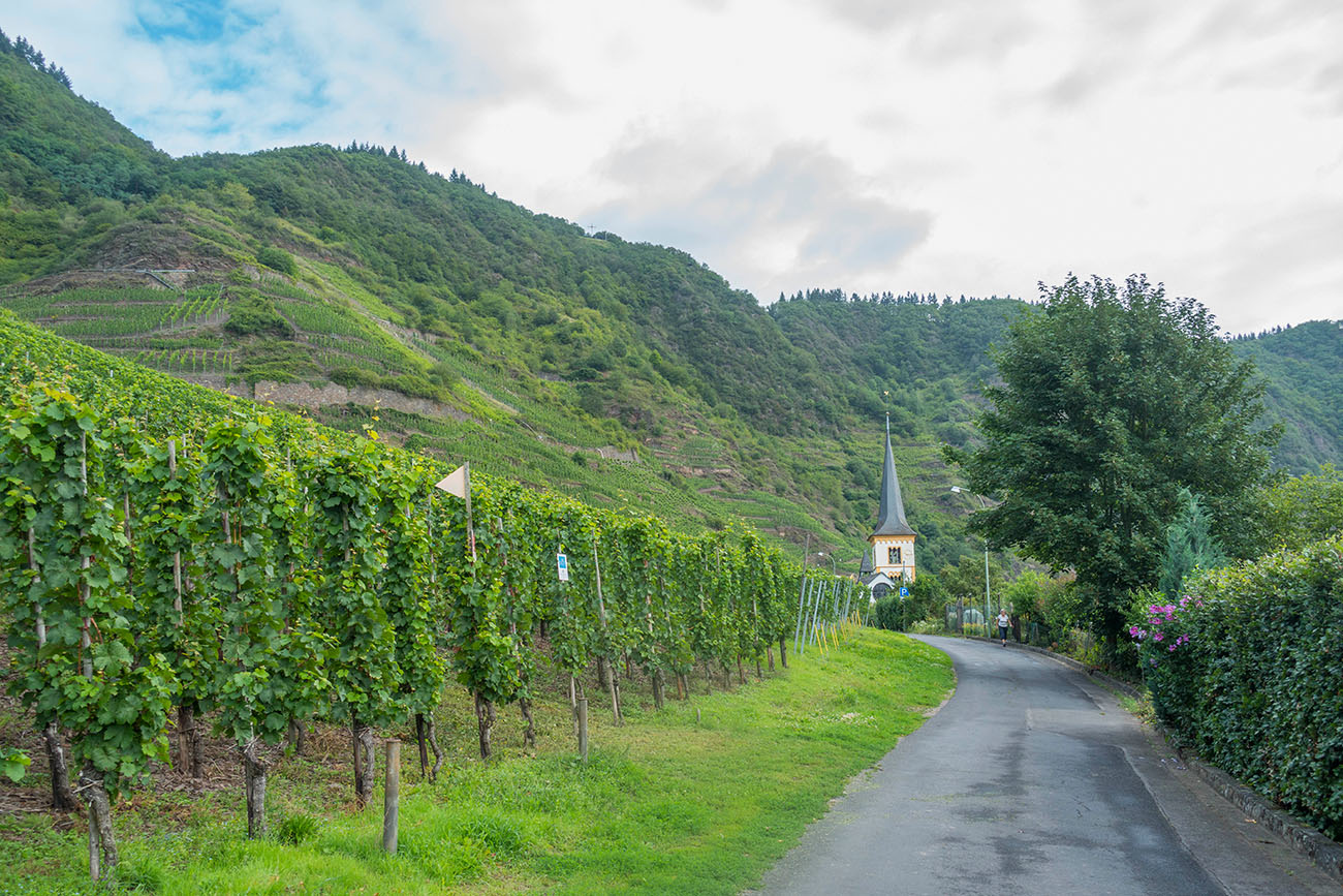Start in Bremm an der Mosel 