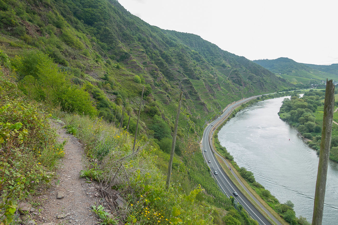 Wanderweg hoch über der Mosel 