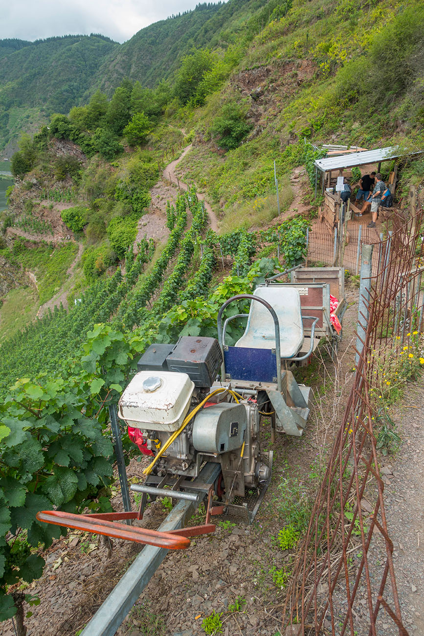 Man kann sich auch vom Winzer hinauffahren lassen und eine Weinprobe am Hang genießen 