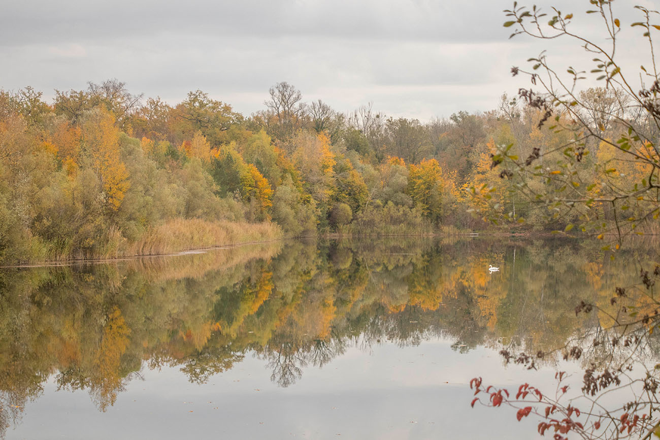 Spiegelglatter Teich 