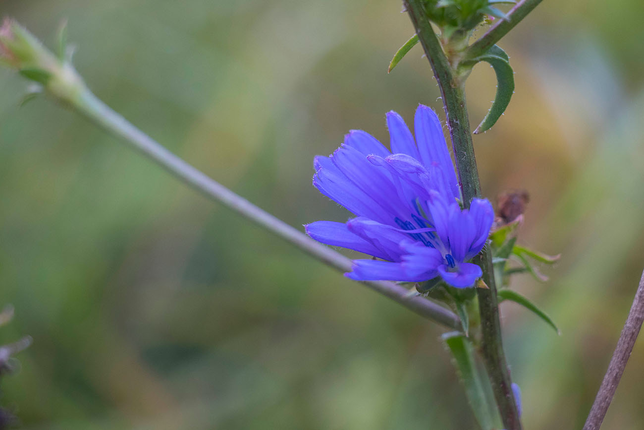 Schönes Blau 