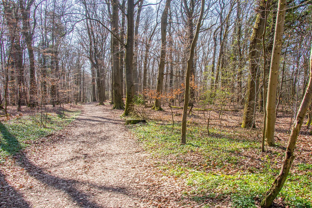 Der erste richtige Frühlingstag musste genutzt werden ... 