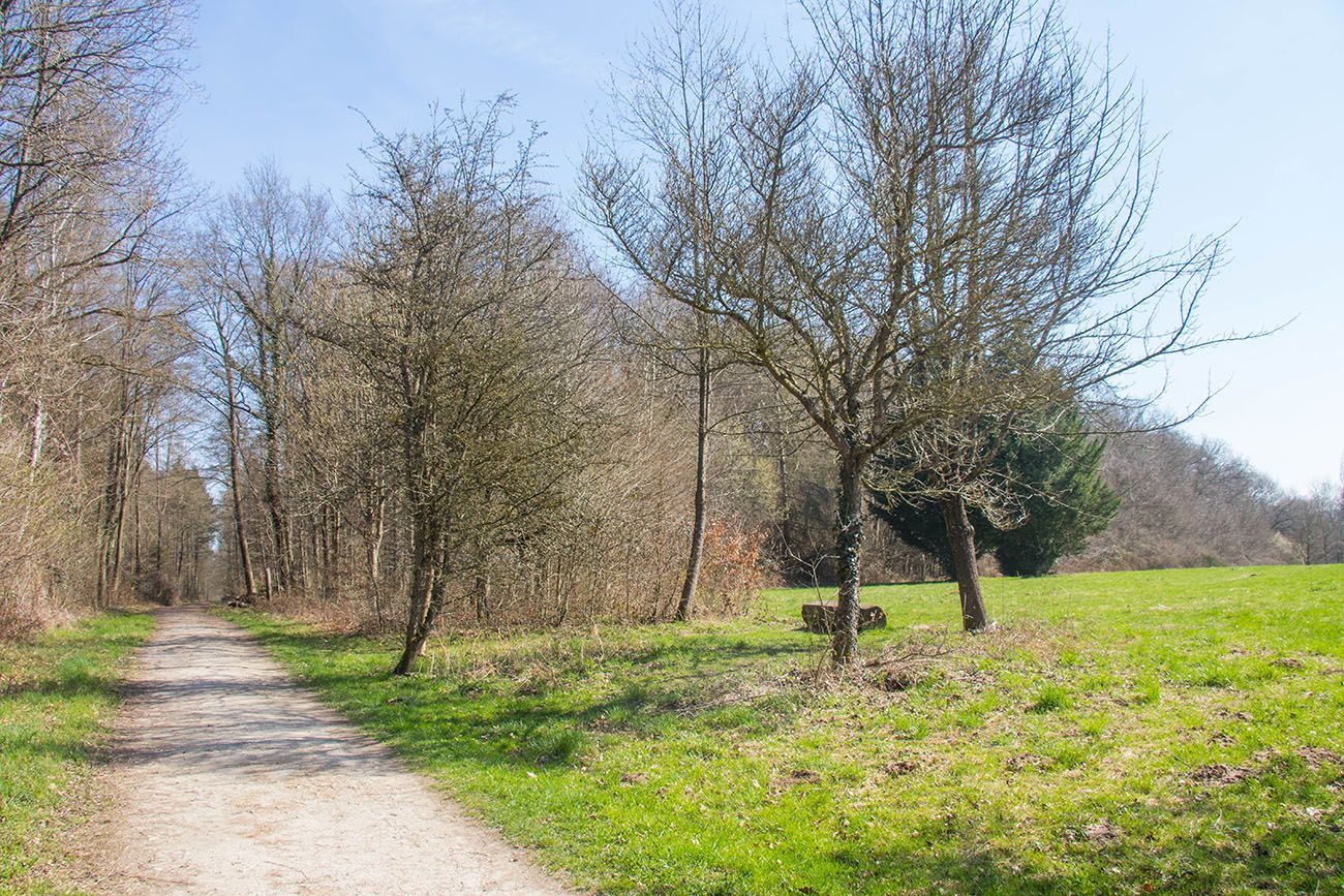 Endlich wieder grüne Wiesen ... 