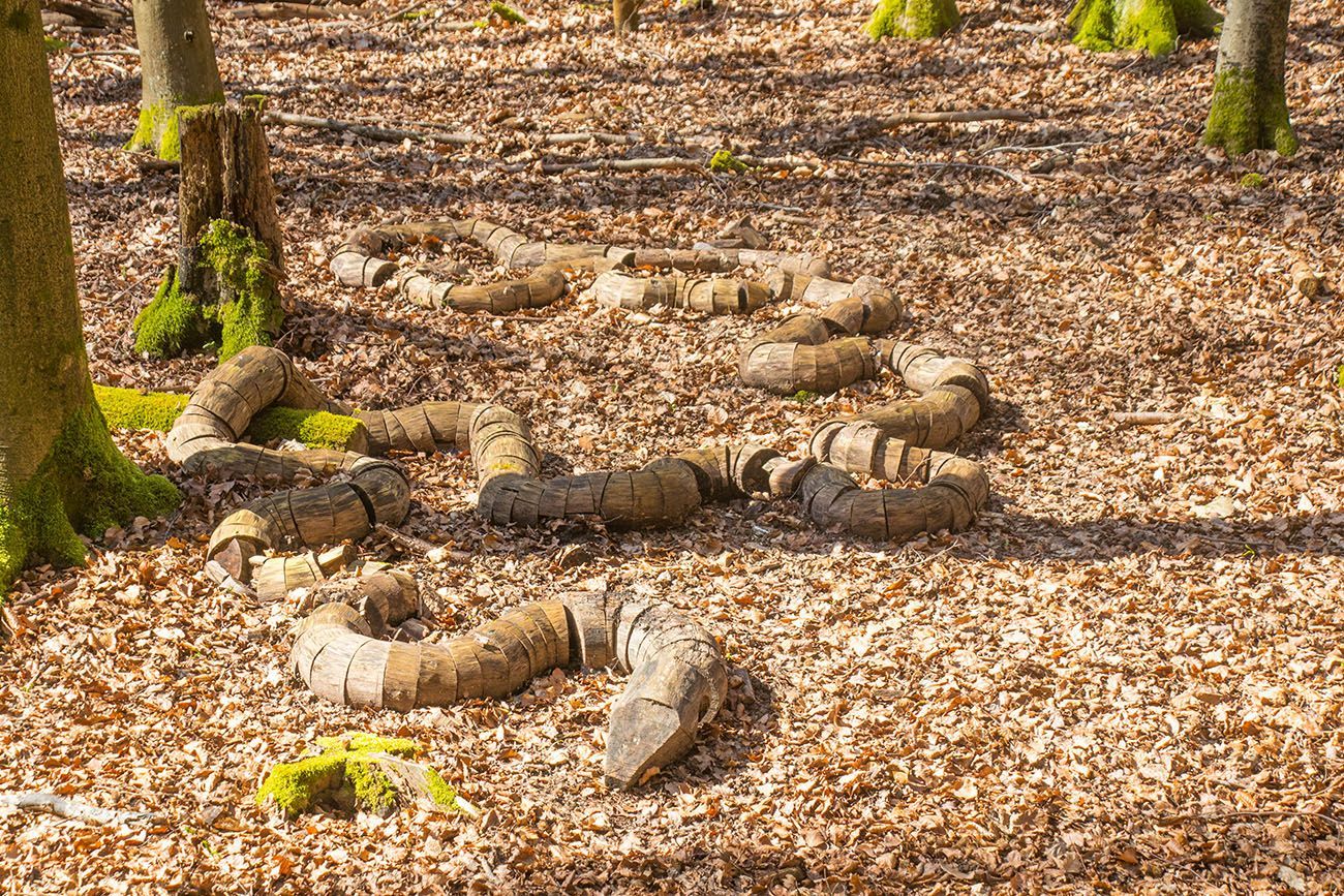 Arbre Serpent (Baumschlange), von Raimund Maria Herzog 