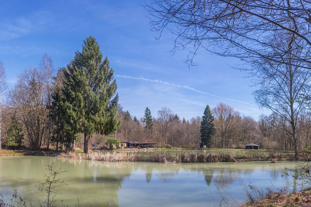 Am Mühlenwaldweiher 