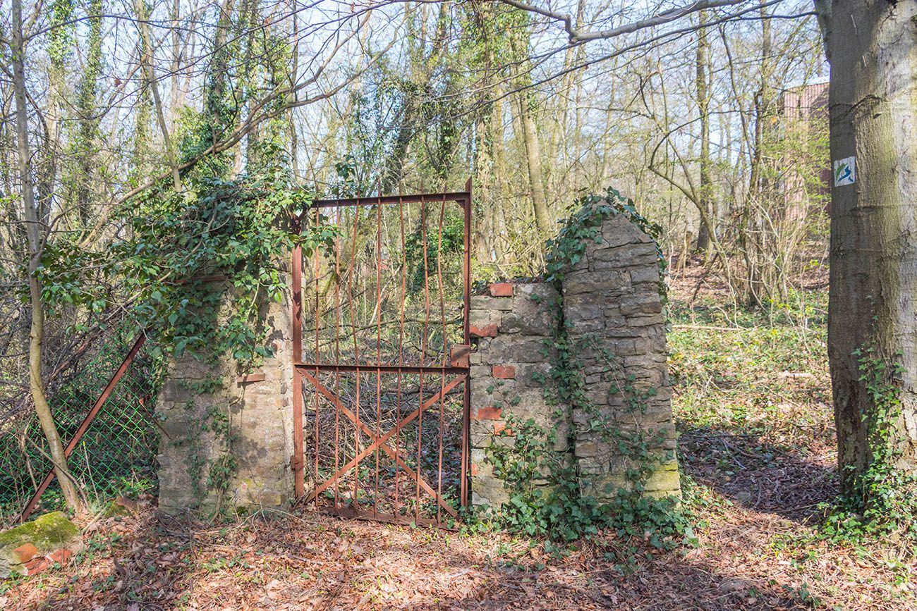 Altes Gemäuer mit Tor 