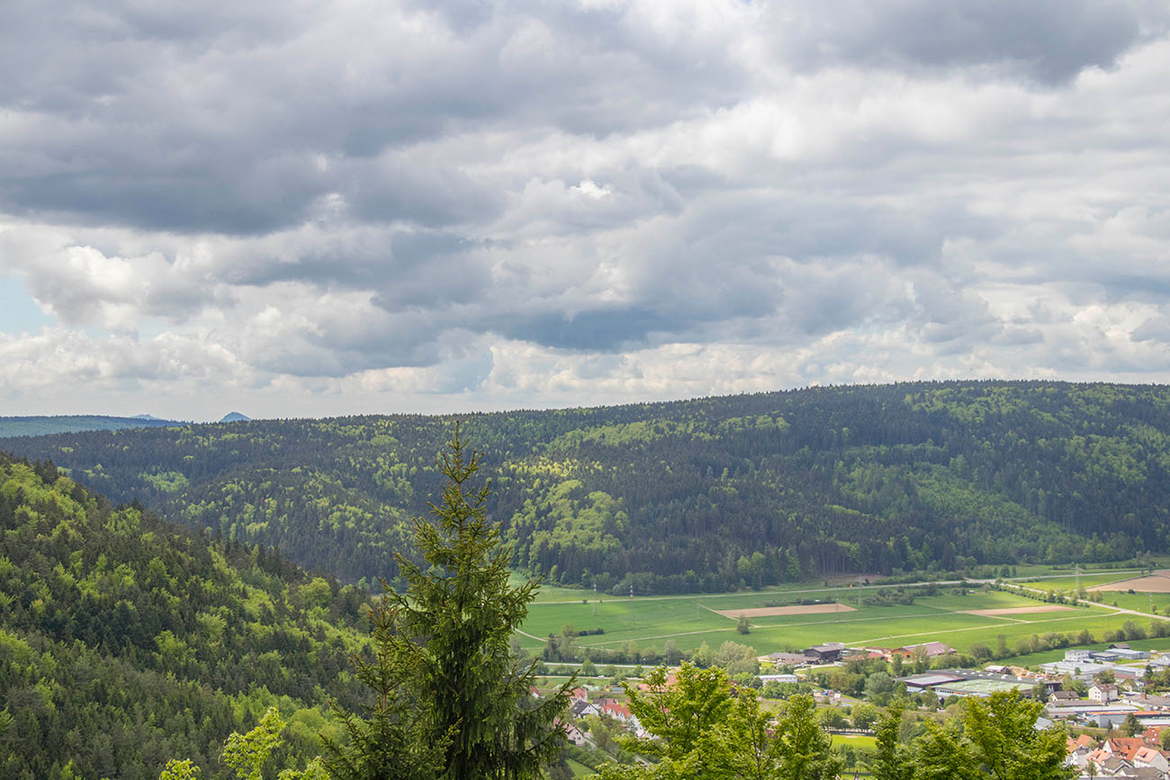 Ausblick über die Schwarzwaldhügel ... 