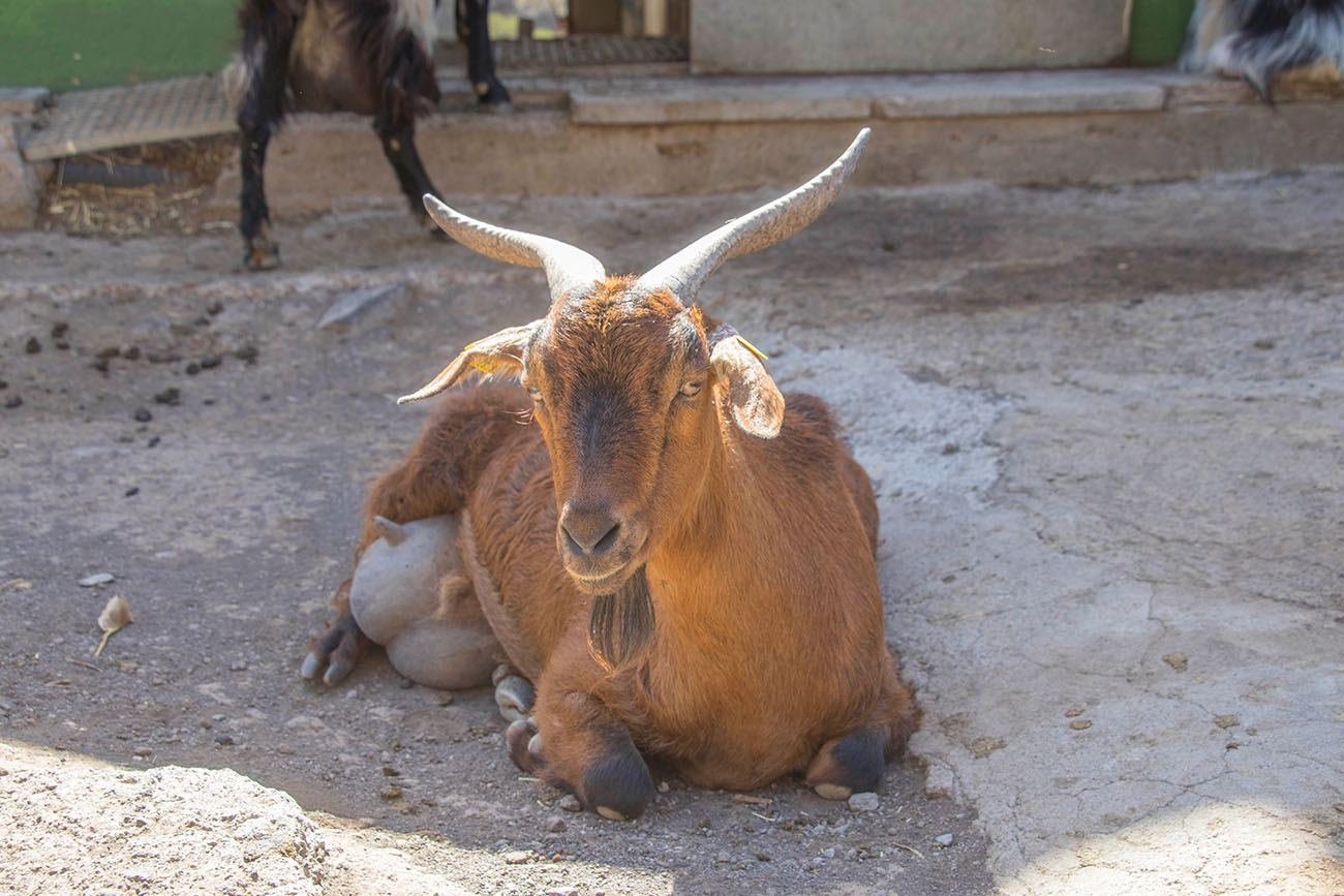 Was guckst du so argwöhnisch? 