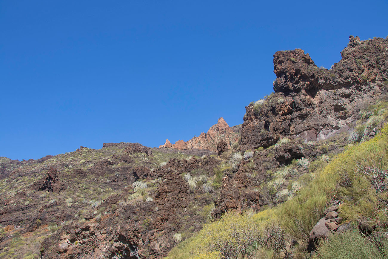 Um uns herum begeistern uns ... 