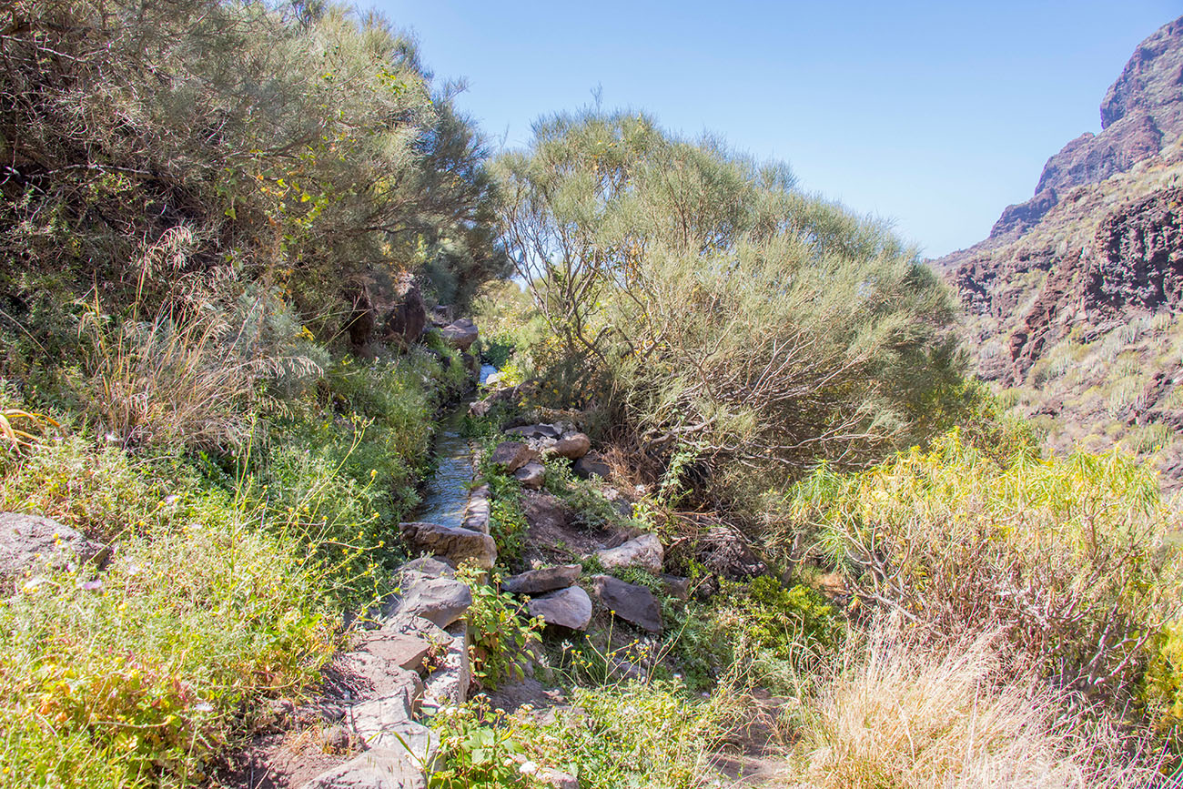 ... führt der Weg weiter zur Küste 