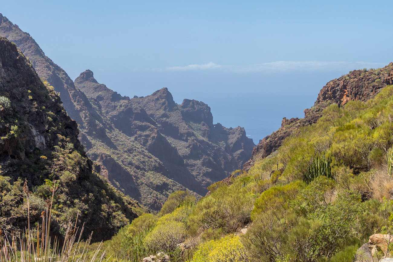 Das Meer ist schon in Sicht 