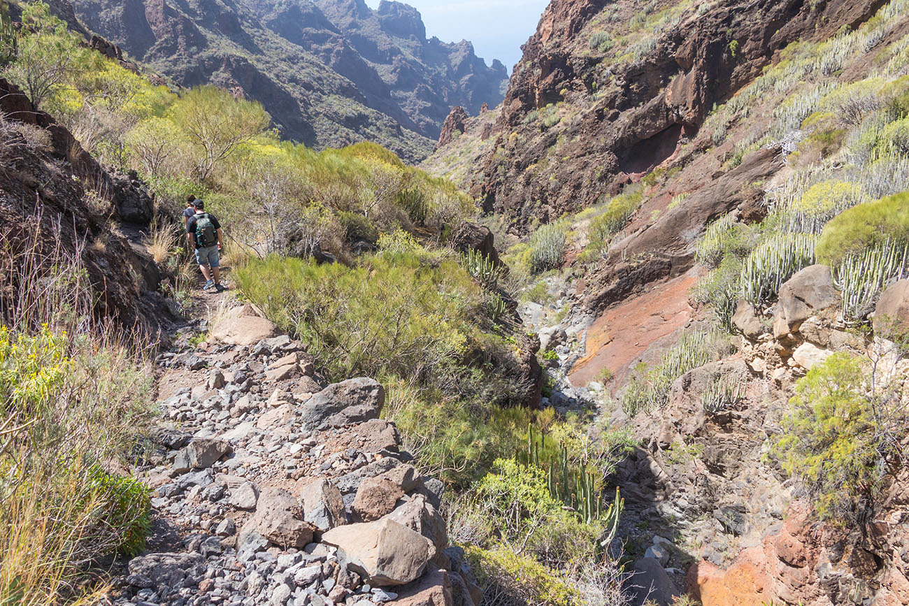Auf ausgetretenen Pfaden ... 