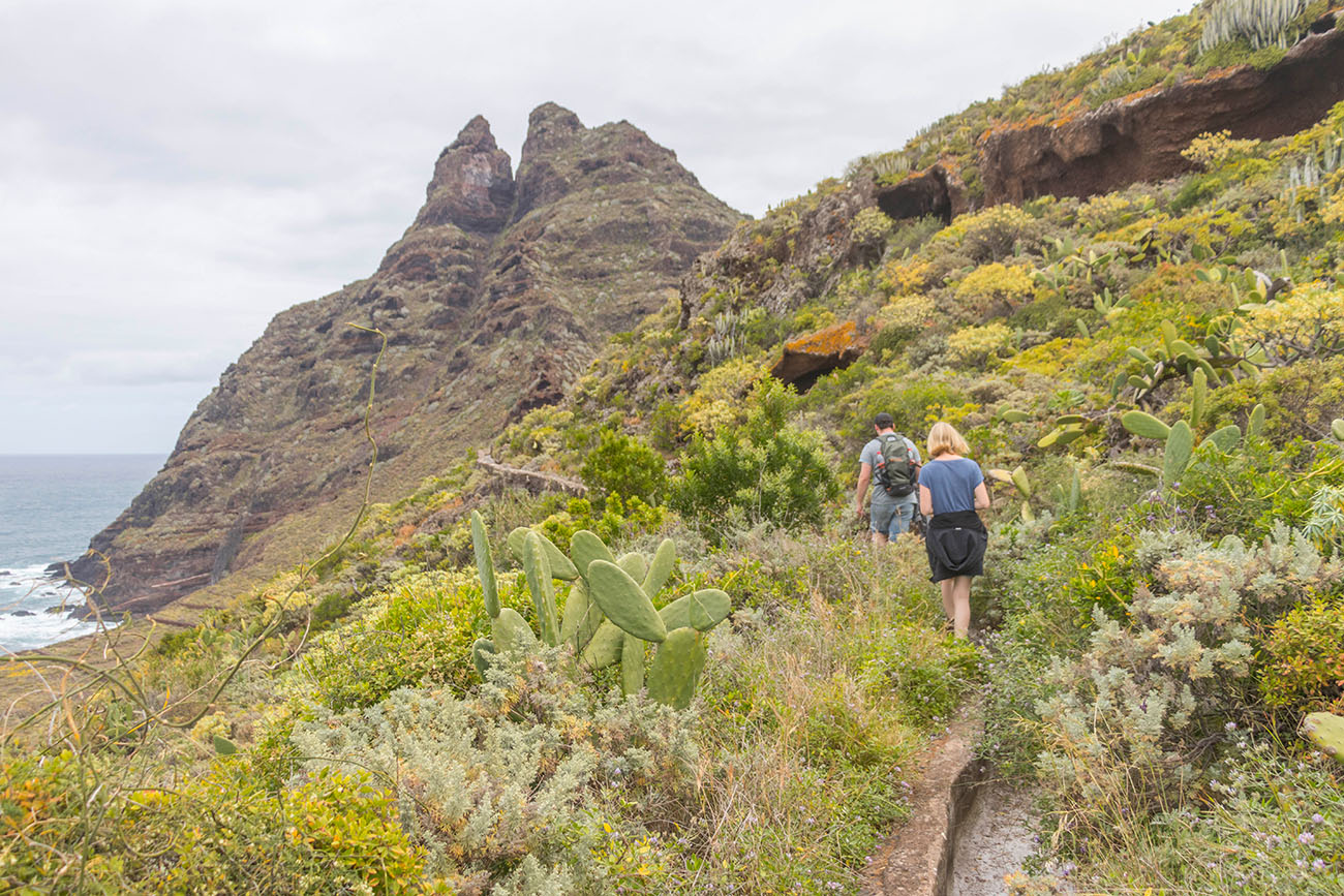... dann geht es in die Berge hinauf 