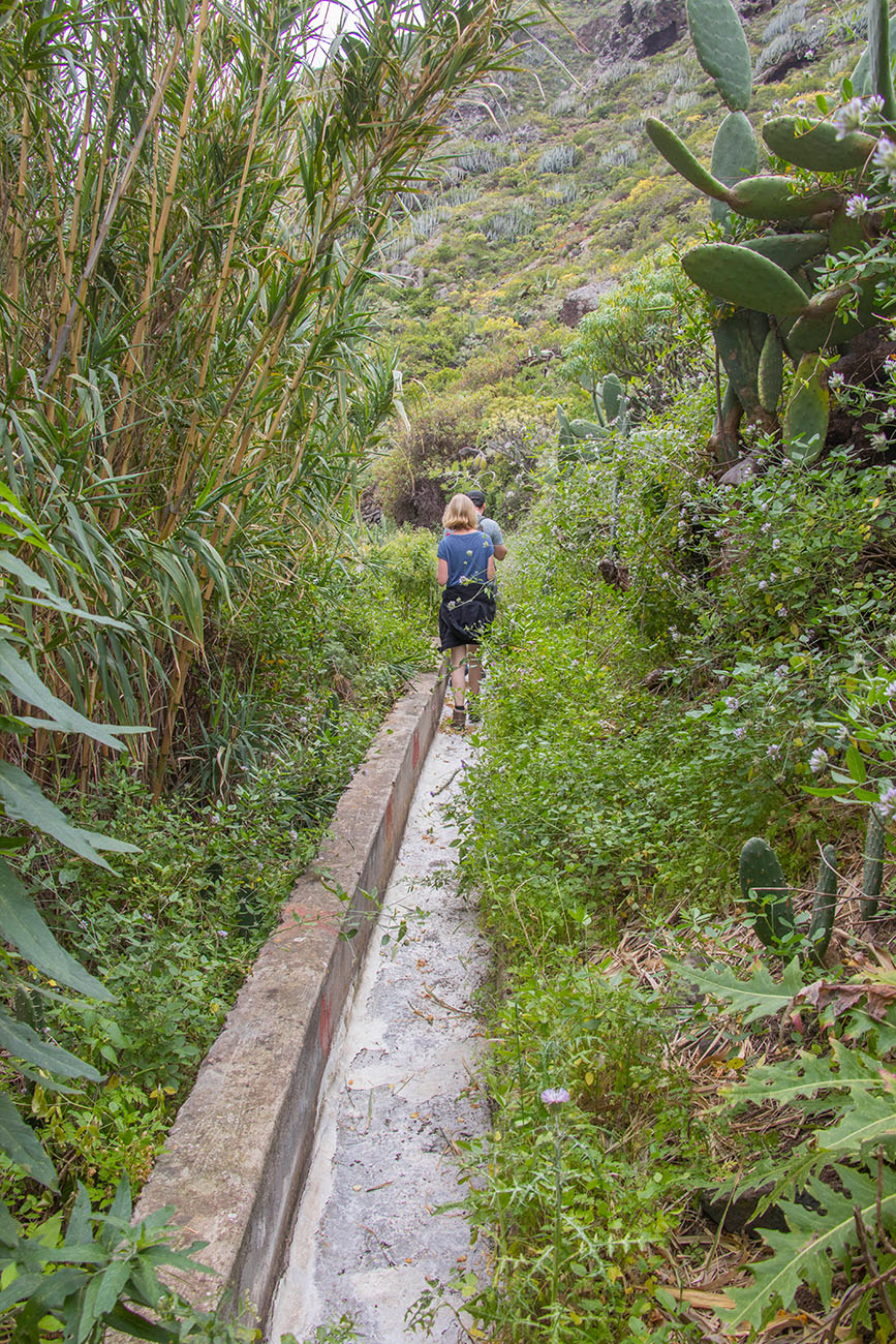 Manche Sträucher haben Dornen ... 