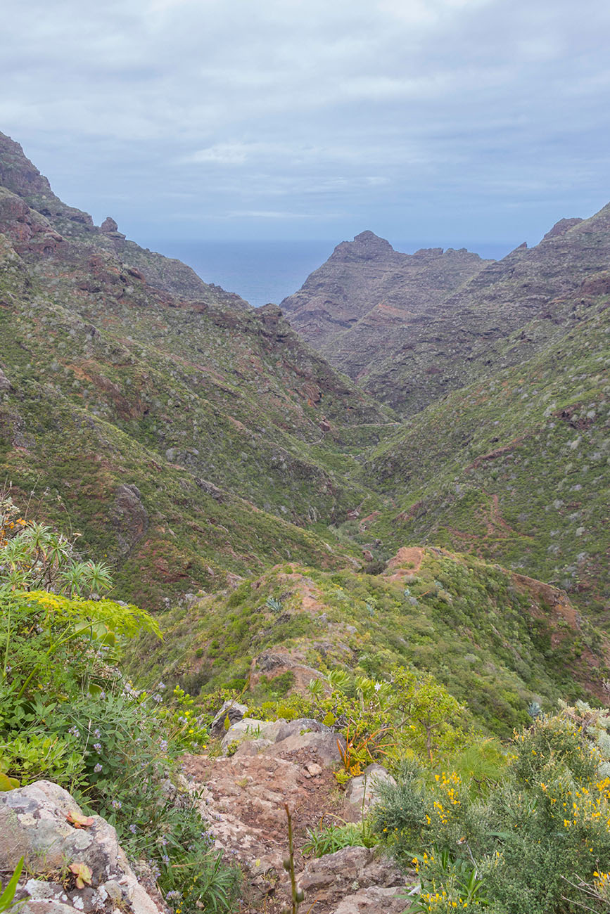Blick zurück zum Meer 