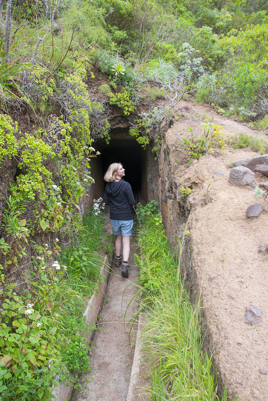 Auch hier gibt es einen Tunnel ... 