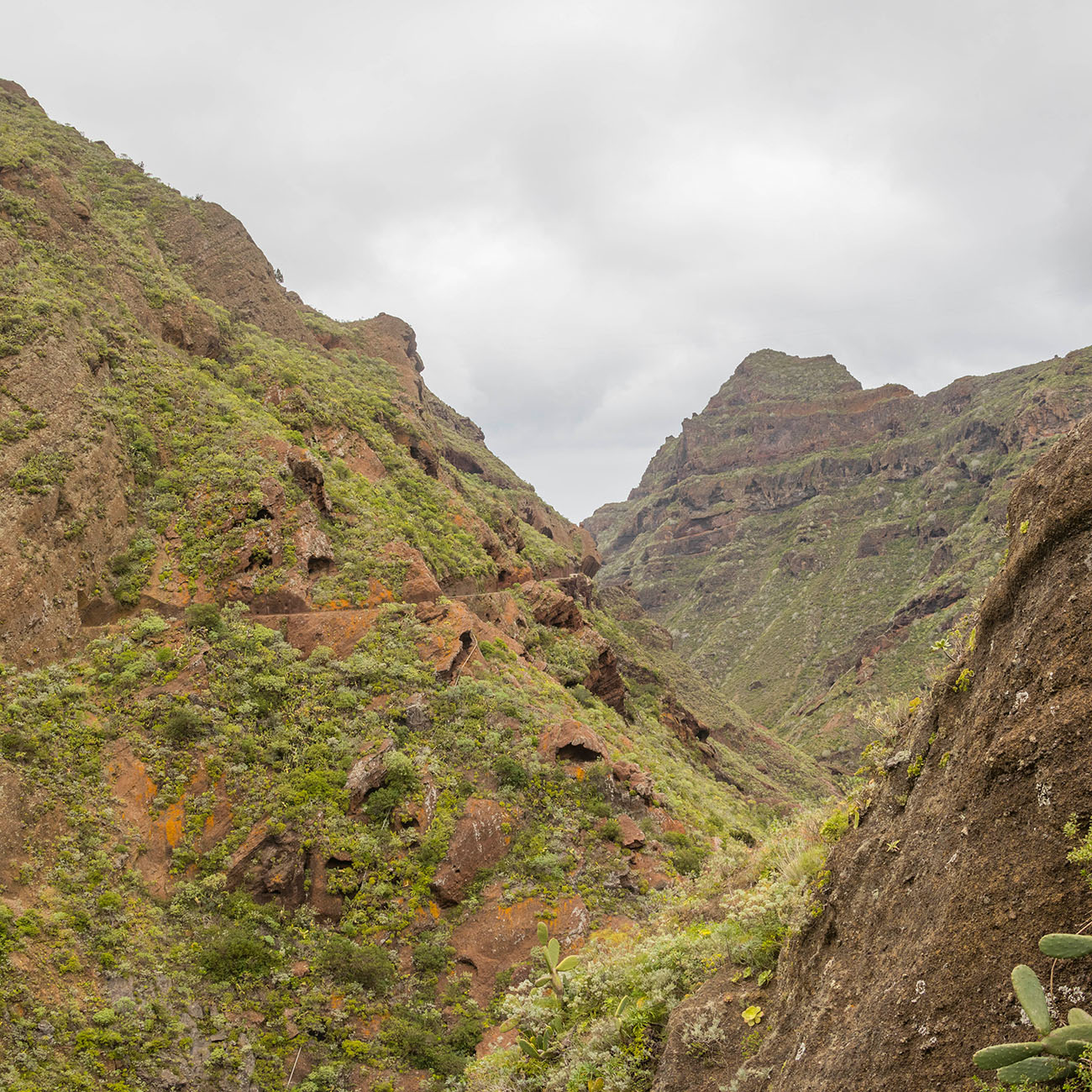 Dort hinten führt unser Weg weiter 