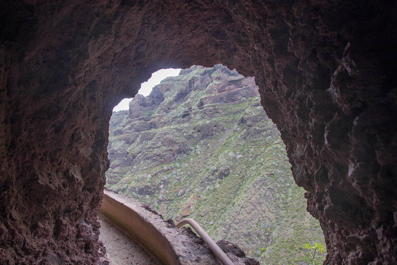 ... dann kommen wir wieder ans Licht 
