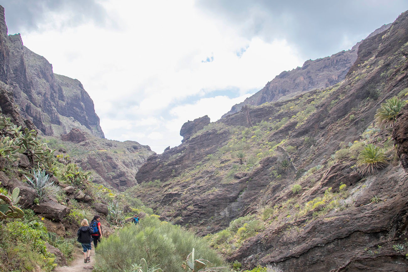 Leider war das Wetter nicht wie gewünscht 