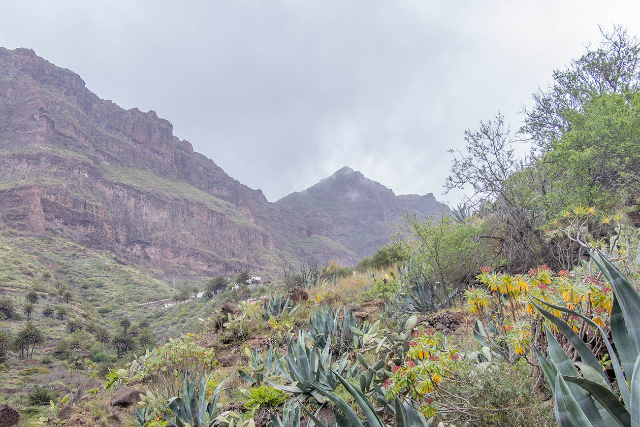 Trotzdem machte die Wanderung Spaß 