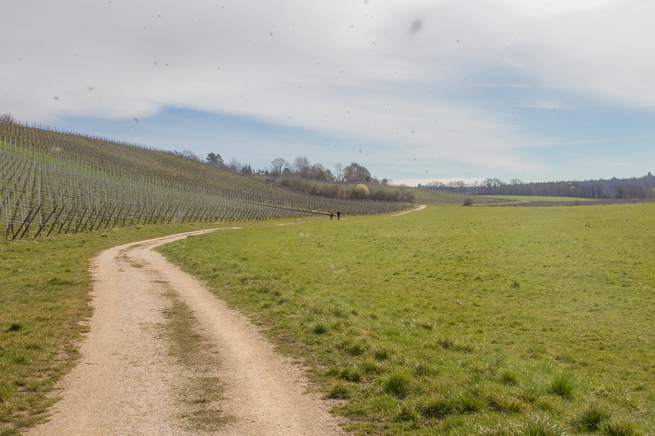 Am Anfang waren viele Mücken in der Luft :-( 