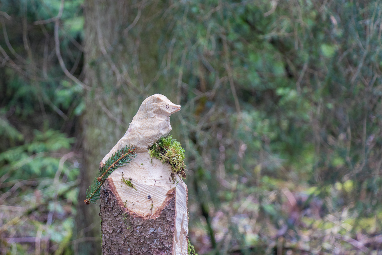 Schnitzereien entlang des Wanderweges