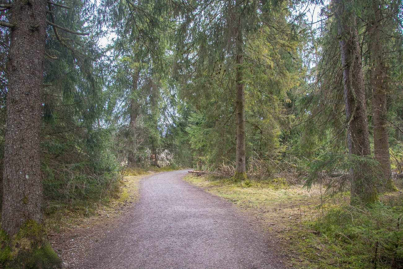 Wanderweg