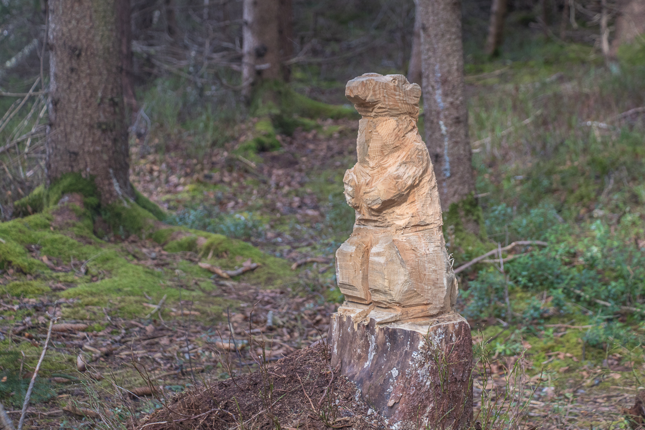 Schnitzereien entlang des Wanderweges