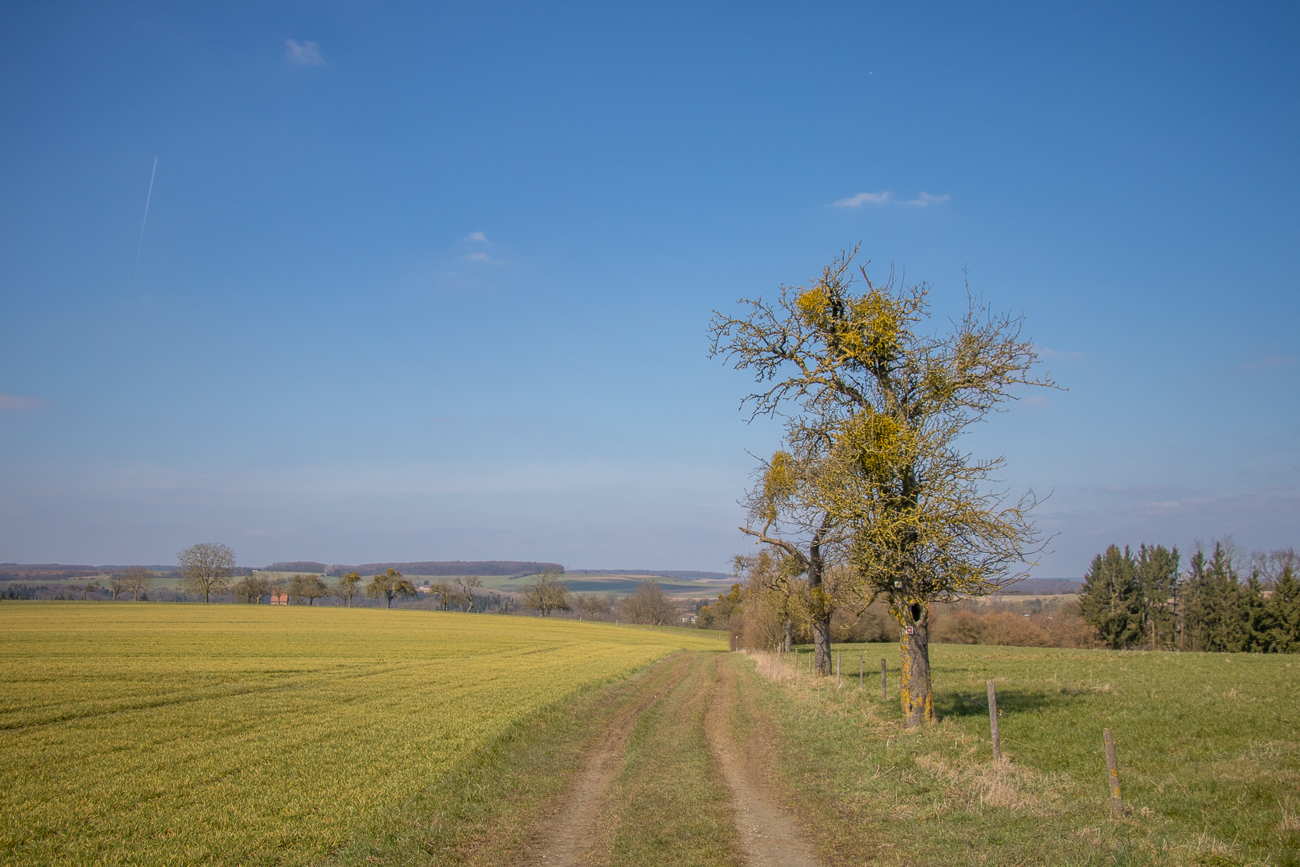 Zwischen den Feldern