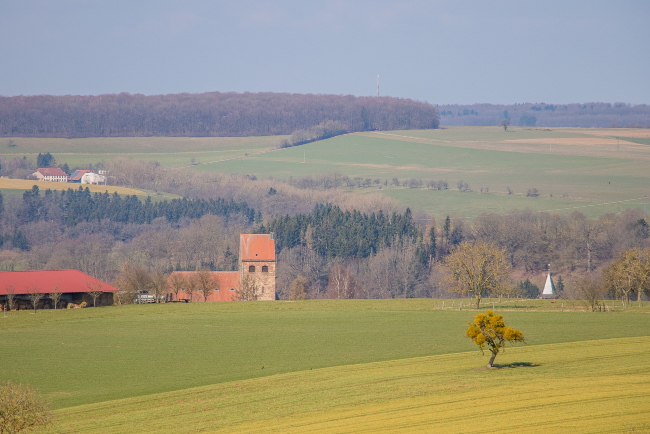 Einige Wanderungen die wir in der Pfalz unternommen haben